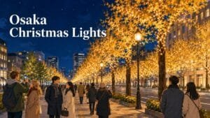 Osaka Christmas Illuminations Guide- Best Spots, Dates & Access